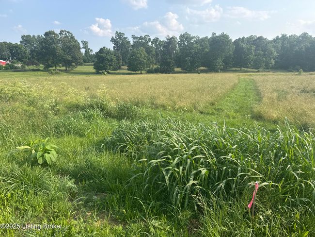 1 Wray Dr, Home with 0 bedrooms, 0 bathrooms and null parking in Shepherdsville KY | Image 5