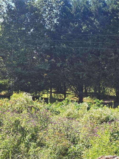 0 Highway 115 E, CLEVELAND, GA, 30528 | Card Image