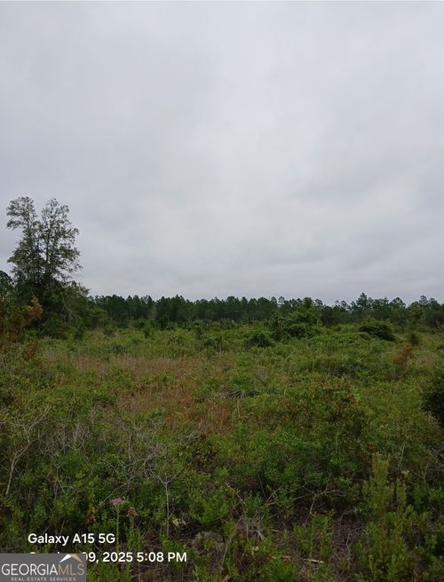 0 (LOT 6) Dogwood Ln, Folkston, GA, 31537 | Card Image