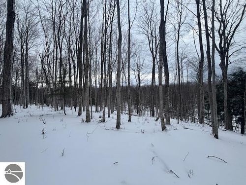 00 Kilkenny Lane, Ellsworth, MI, 49729 | Card Image