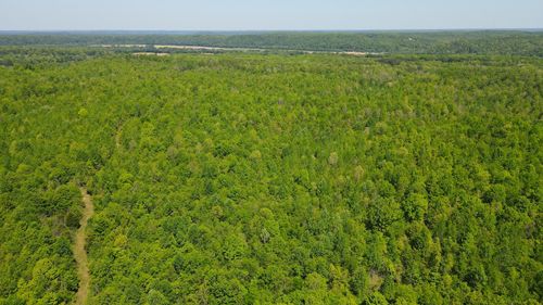 0 Gauging Station Ln, Hurricane Mills, TN, 37078 | Card Image