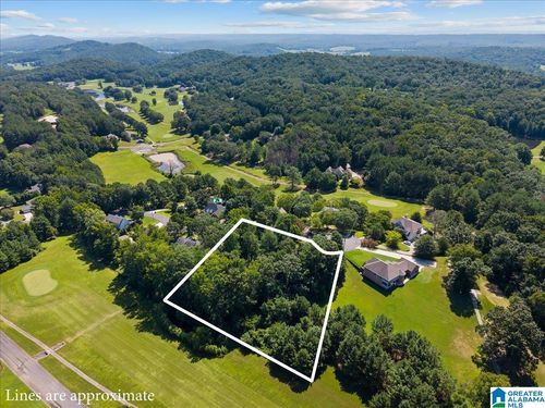 12a-13a-0 Quail Ridge Rd, ONEONTA, AL, 35121 | Card Image