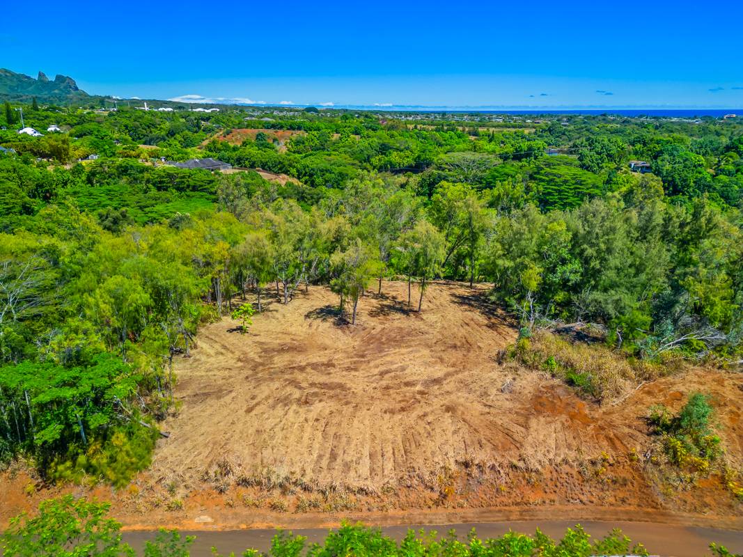 Land in Kapaa 5