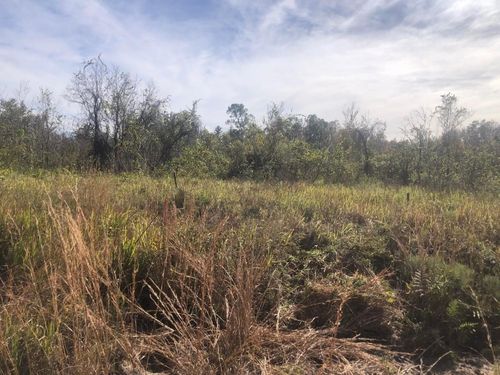 0 Polk City Road, Polk City, FL, 33868 | Card Image