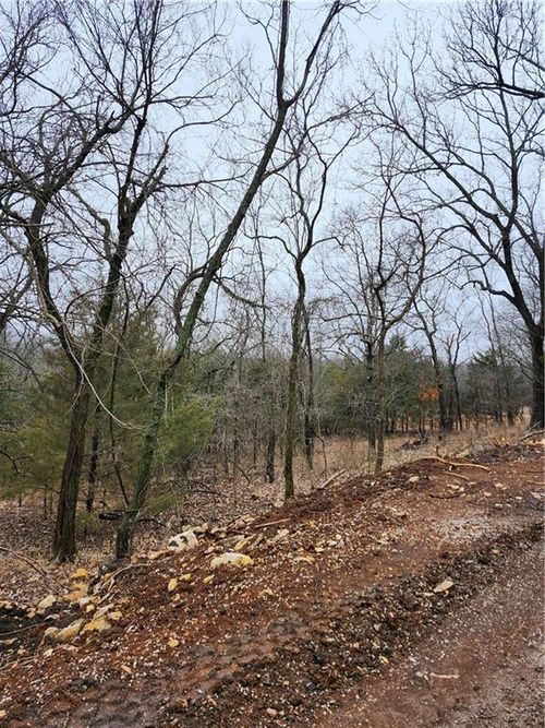 6 & 10 Live Oak Drive, Linn Valley, KS, 66040 | Card Image