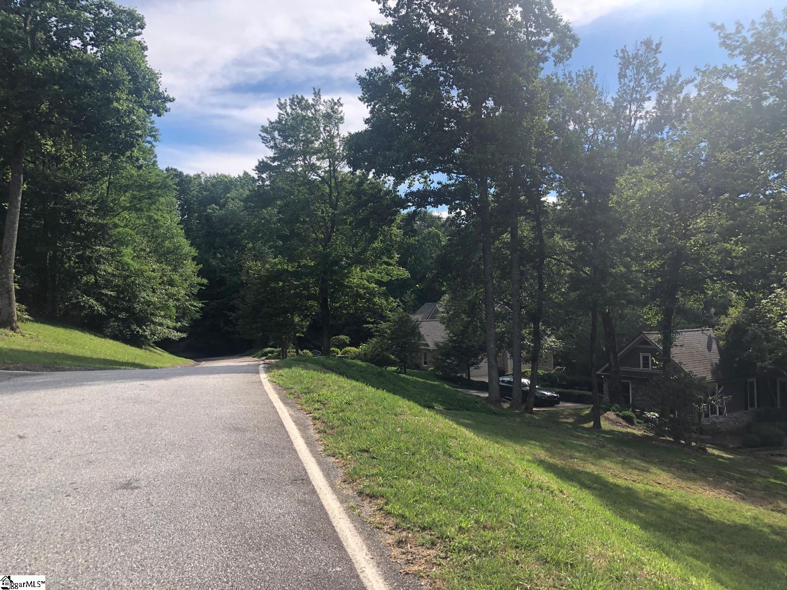 Land in Landrum 5
