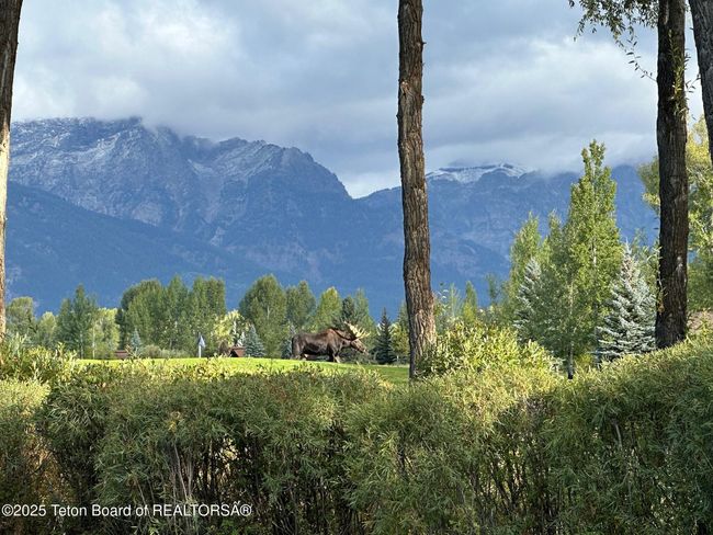 13 - 5870 Mtn Mahogany Ln, House other with 3 bedrooms, 3 bathrooms and null parking in Jackson WY | Image 40