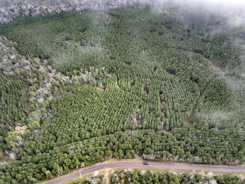 15 Marina Rd, Crockett, TX, 75835 | Card Image