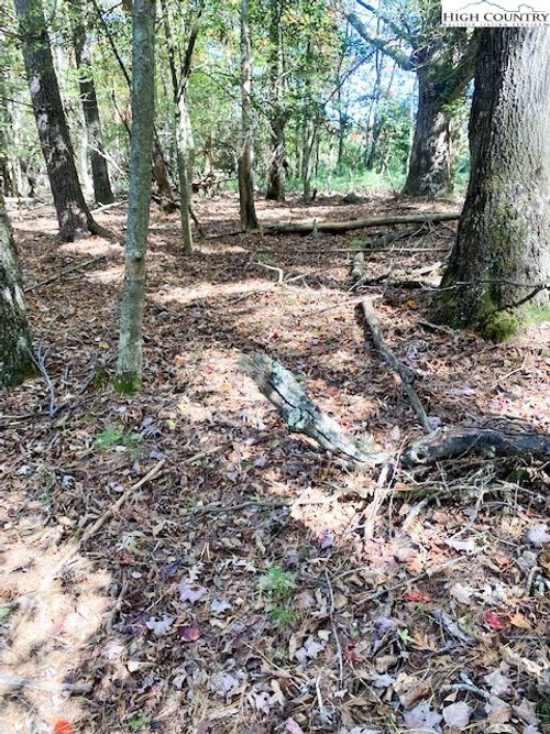 TBD Holly Knoll Rd, Glade Valley, NC, 28627 | Card Image