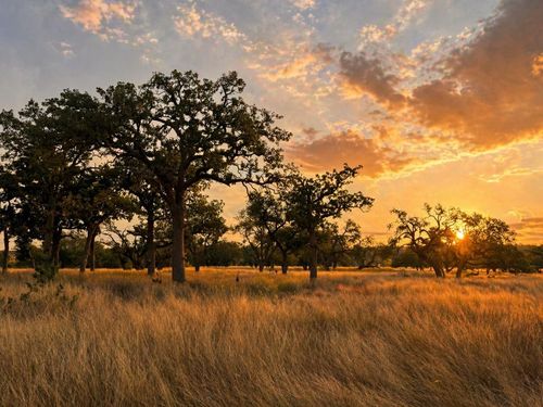 139-290 Stallion Dr, Harper, TX, 78631 | Card Image