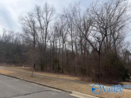 716 Marina Park Dr Se, Huntsville, AL, 35803-3034 | Card Image