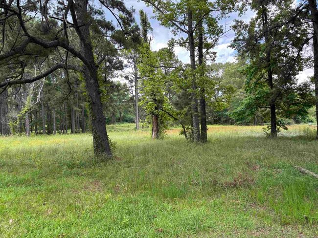 0 E Center St, Home with 0 bedrooms, 0 bathrooms and null parking in Sheridan AR | Image 8