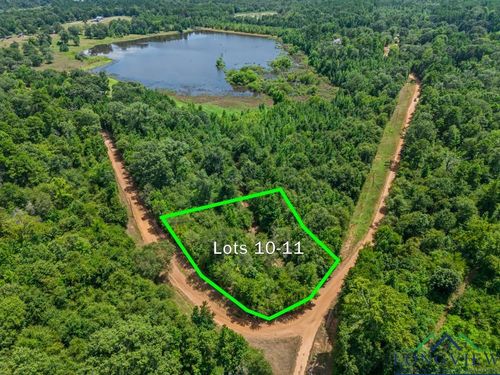 TBD Indian Mound Lake Lots 10 &Amp; 11, Hawkins, TX, 75765 | Card Image