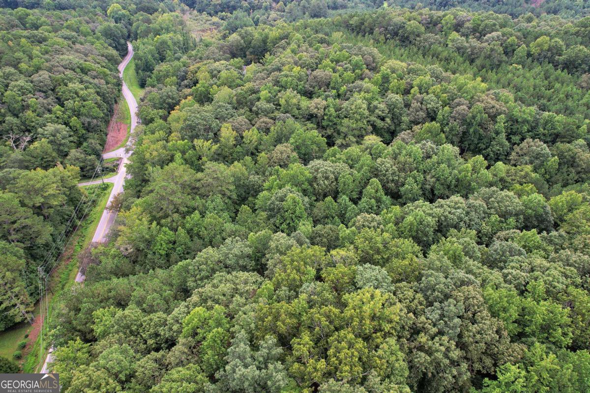 Land in Douglasville 5