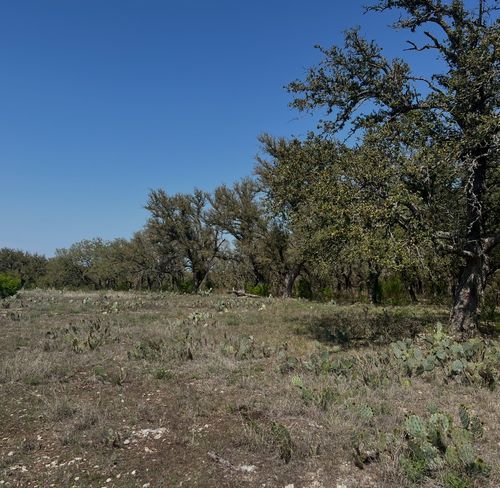 Lot 42 N Waterbuck Way, Lampasas, TX, 76550 | Card Image