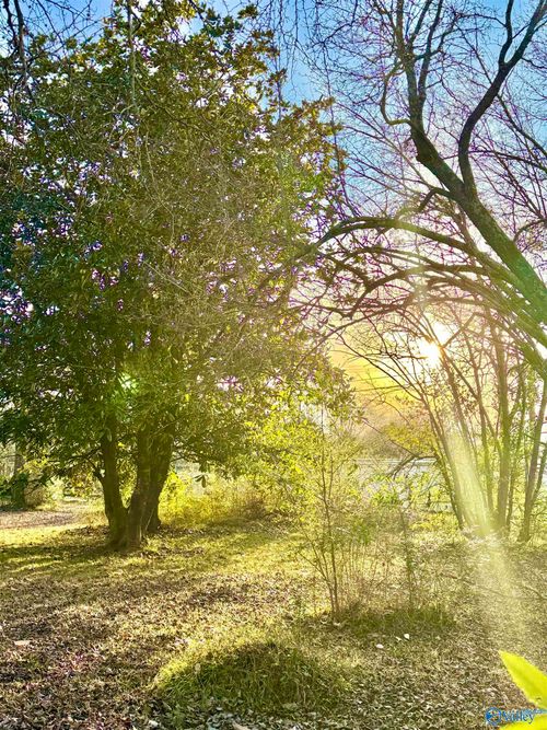 Lot 1 Corsbie Street, Hartselle, AL, 35640 | Card Image