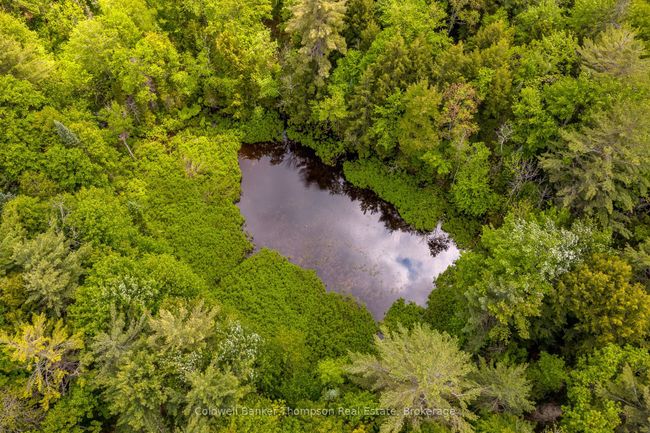623 Highway 141, House other with 4 bedrooms, 2 bathrooms and 4 parking in Utterson ON | Image 50