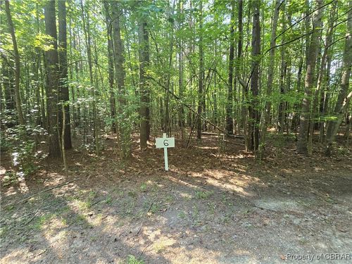 Lot 6 Hallieford Rd, Cobbs Creek, VA, 23035-2089 | Card Image