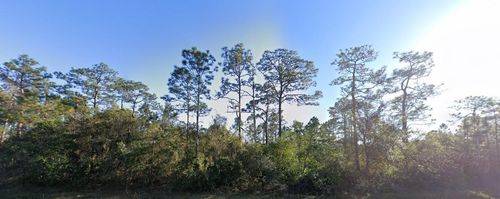 20106 E Colonial Dr, CHRISTMAS, FL, 32709-9703 | Card Image