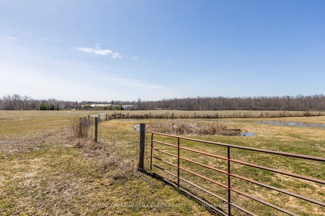 2552 Base Line, Home with 4 bedrooms, 1 bathrooms and 10 parking in Keene ON | Image 34