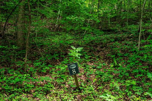 8 Skyview Dr, Hayesville, NC, 28904-9393 | Card Image