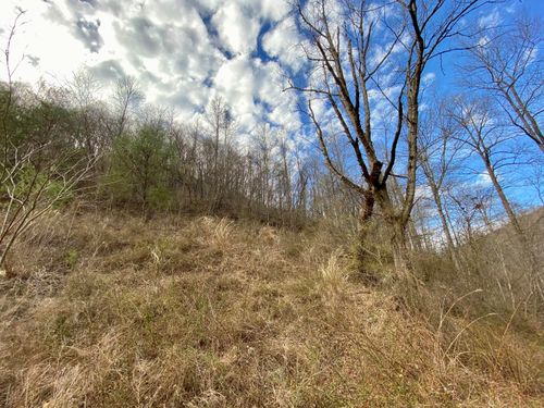 1344 Potato Branch Rd, Topmost, KY, 41862-8985 | Card Image