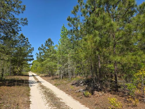 3a Briarwood Drive, Williston, SC, 29853 | Card Image