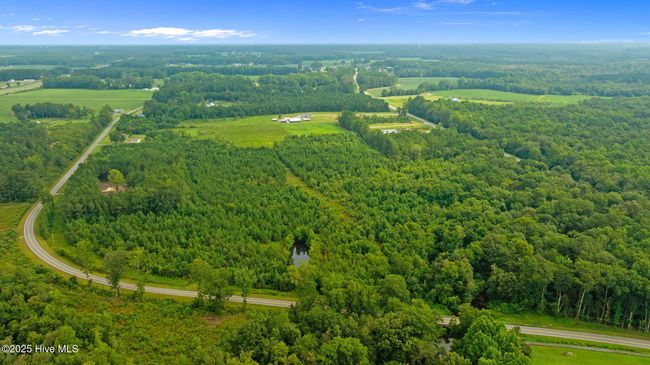 0 Great Swamp Loop, Home with 0 bedrooms, 0 bathrooms and null parking in Lucama NC | Image 6