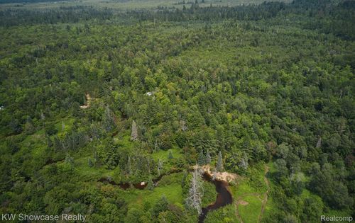 12581 Driggs River Rd, Seney, MI, 49883 | Card Image