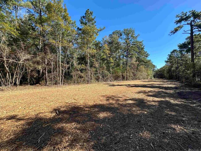 23540 Heritage Acres Ln, Home with 0 bedrooms, 0 bathrooms and null parking in Robert LA | Image 14