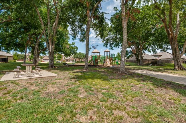 View of green lawn | Image 30