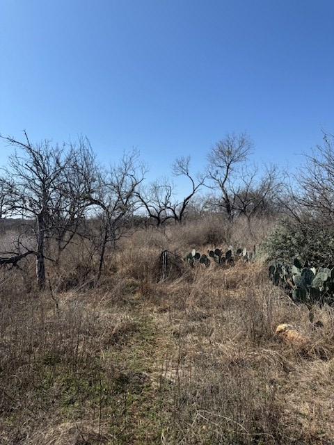 Land in Llano 3
