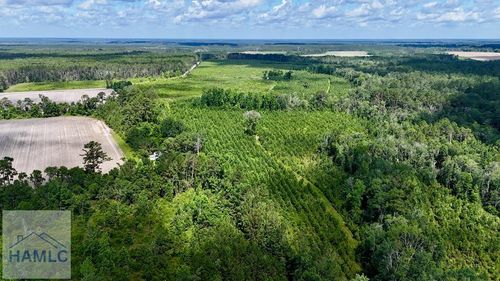 Tract 4 Bennett Mill Pond Rd, Odum, GA, 31555 | Card Image