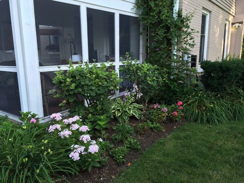 621 E Grove St, Arlington Heights, IL, 60005-2047 | Card Image