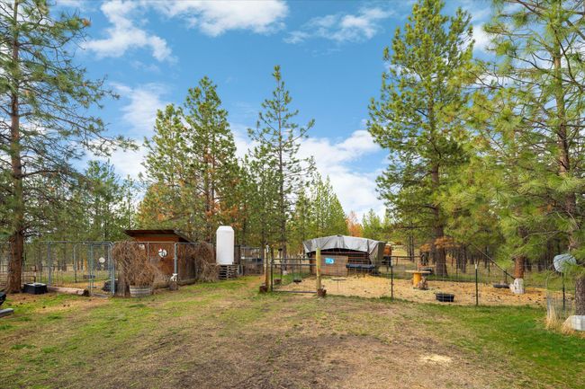 Small livestock pens | Image 49