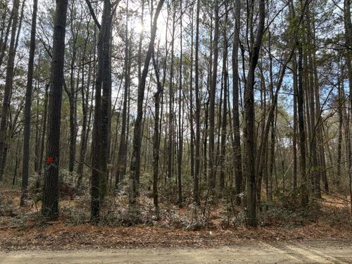 0 Hercules Rd, Mc Clellanville, SC, 29458 | Card Image