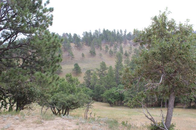 371 New Haven Rd, Home with 0 bedrooms, 0 bathrooms and null parking in Hulett WY | Image 29
