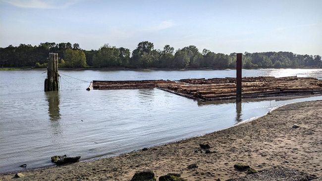 Water view featuring a wooded view | Image 17