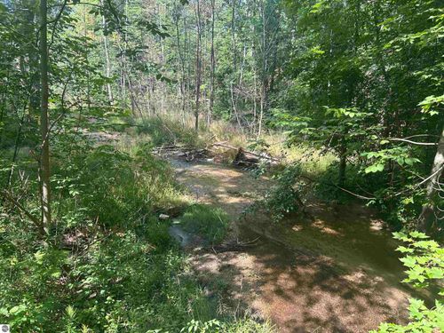 Parcel 2 S M-88, Bellaire, MI, 49615 | Card Image