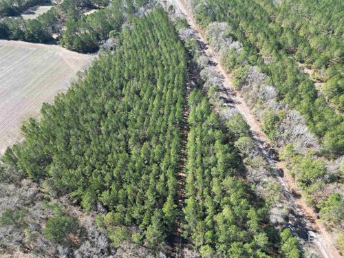 01 Clifton Road, Flomaton, AL, 36441 | Card Image