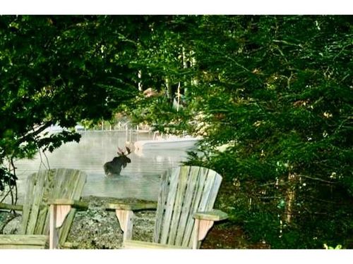 28 Veasey Shore Rd, Meredith, NH, 03253-7126 | Card Image