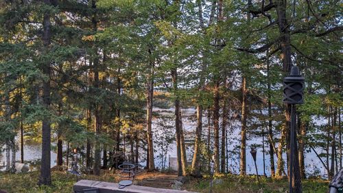 8433 Timber Bay Rd, Babbitt, MN, 55706 | Card Image
