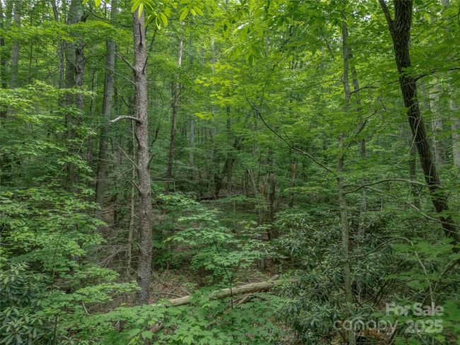 000 White Rock Branch Rd, Home with 0 bedrooms, 0 bathrooms and null parking in Candler NC | Image 20