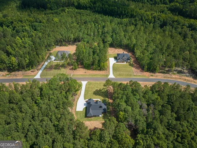 LOT 29 Flint Farms Drive, House other with 5 bedrooms, 4 bathrooms and 2 parking in Concord GA | Image 9