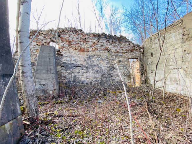 150 Portland St, Home with 0 bedrooms, 0 bathrooms and null parking in Georgian Bluffs ON | Image 15