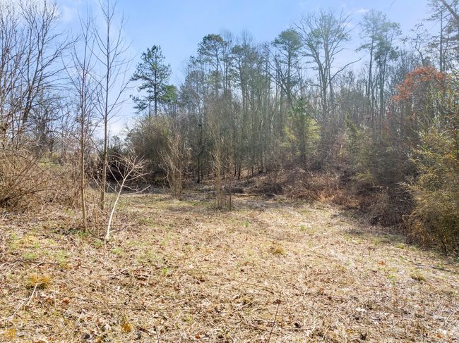 0 James Rd, Home with 0 bedrooms, 0 bathrooms and null parking in CLARKESVILLE GA | Image 5