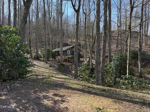 1770 Red Brush Rd, Mountain City, TN, 37683-4230 | Card Image