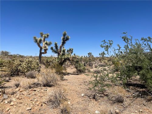 319 Lakeside Drive, Dolan Springs, AZ, 86441 | Card Image