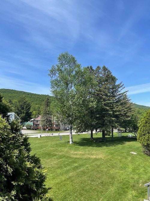 35-35 Mountain View Drive, Cambridge, VT, 05464 | Card Image