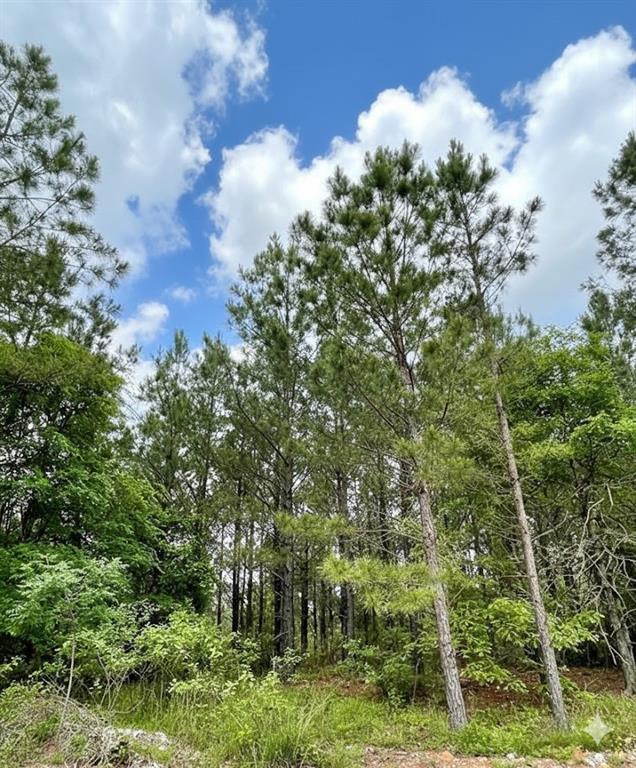 Land in Broken Bow